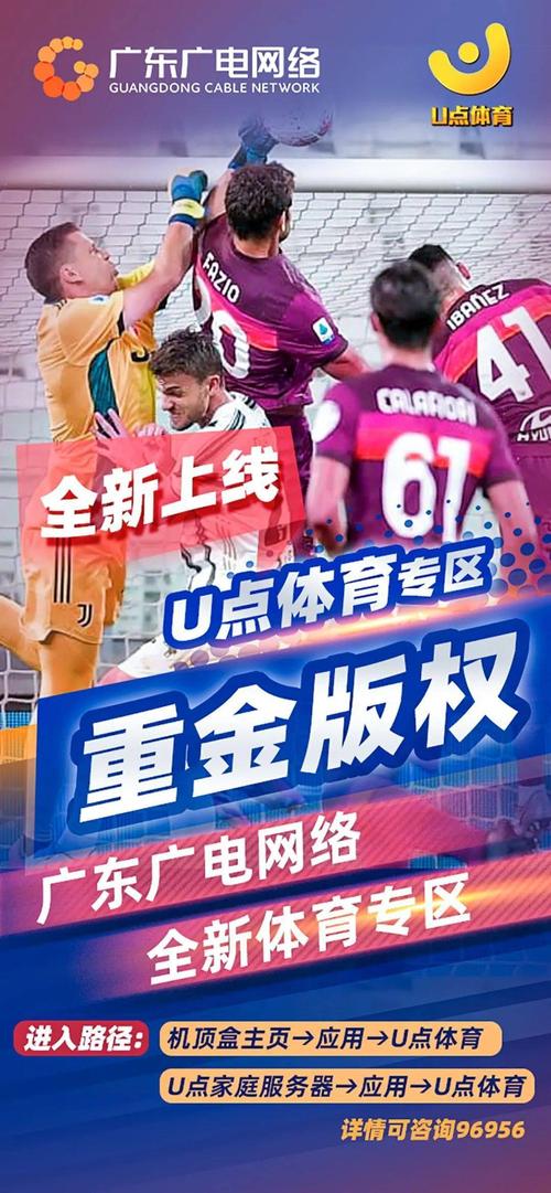 足球高清粤语直播网